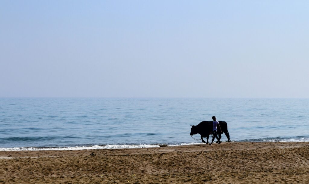 Sohan Beach view point in oman